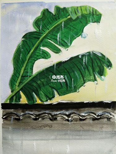 少儿绘画 雨打芭蕉_芭蕉_绘画_文化_绘画