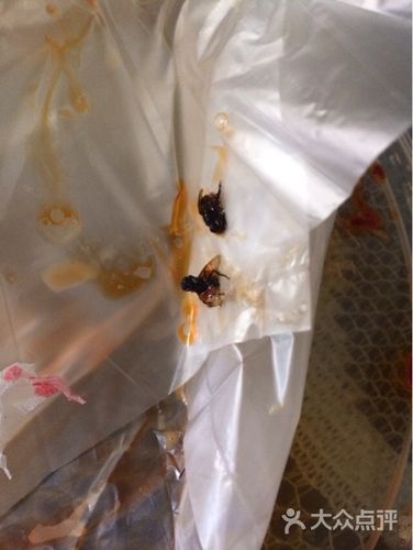 谢记重庆麻辣烫(骊山路店)苍蝇图片 - 第37张