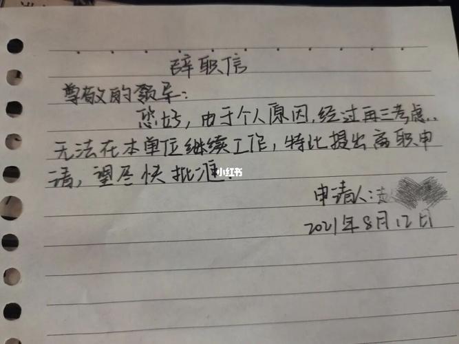 我的辞职信_手写_辞职_辞职信_教育_职场行业