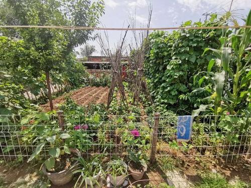 北京延庆带火炕的农村院子,拎包入住,月租不到2000