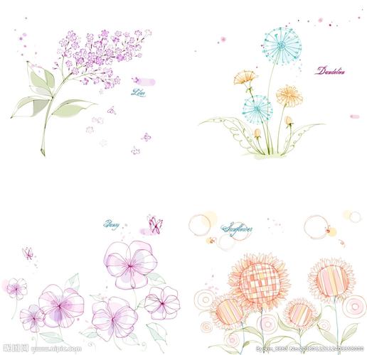 矢量图线条花朵图片