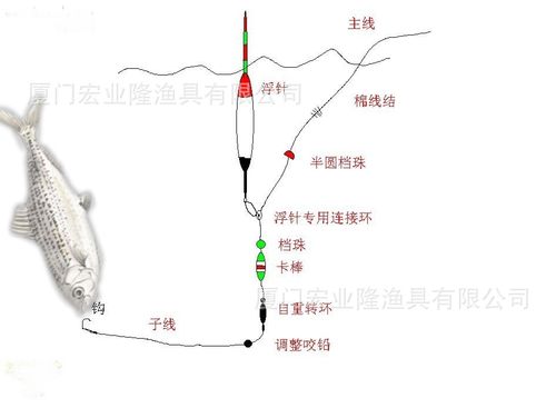 日本进口原丝鱼线 正品渔线 矶钓 路亚 竞技钓 100米主线