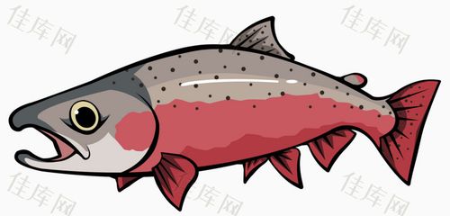 鱼 鲜鱼 小鱼 海洋鱼类 海鲜 鱼 卡通动物