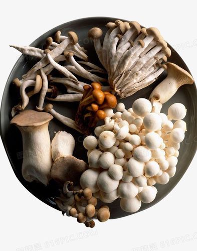 菌菇拼盘实物图png菌菇拼盘pngai菌类拼盘png菌菇蟹味菇png新鲜菌菇