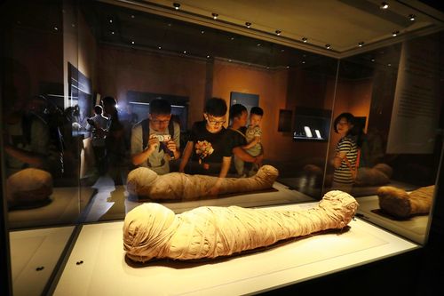 古埃及木乃伊特展亮相安徽省博物馆