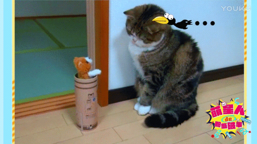 唉呀gif猫咪gif反应迟钝gif可爱gif