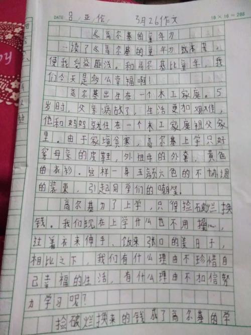 刘寨小学六年级优秀作文之作品梗概