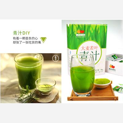 大麦若叶青汁-贝贝小屋