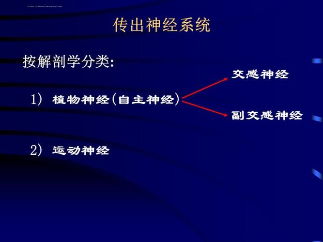 去甲肾上腺素ppt课件