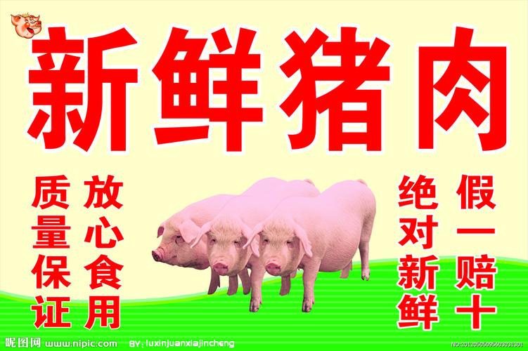 新鲜猪肉图片
