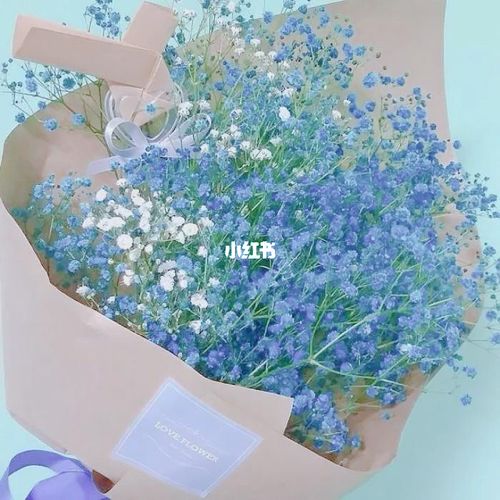 满天星_满天星_鲜花_抖音_鲜花分享_家居家装_家居装饰