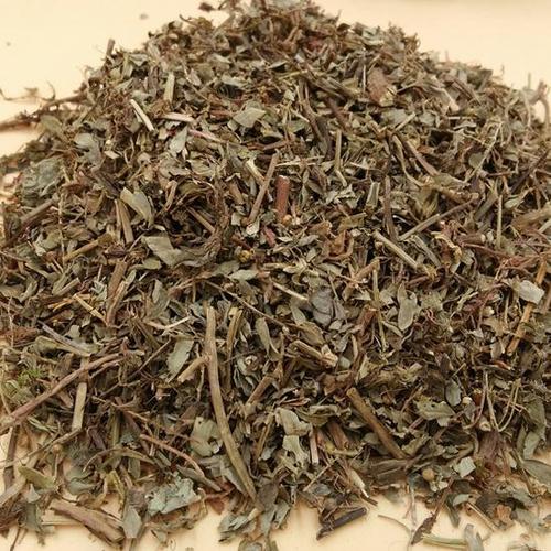 中药材 野生珍珠草 正品云南叶下珠 新鲜干货 2017新货 500克
