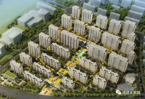 郯城学子中考加油,城建·未来城挺你!