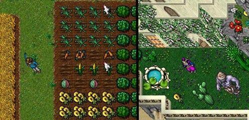 游戏猎奇:上市15年仍让玩家欲罢不能的《tibia》