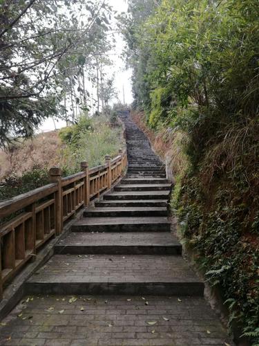 定南南山公园