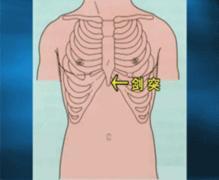 剑突是一个部位名称不是穴位名称,剑突就是平常说的"心口窝"位置上的