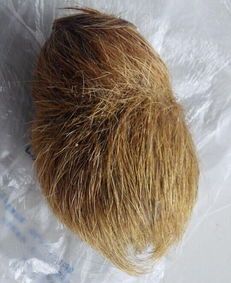 猪砂是什么可以值多少钱 天然猪砂的作用怎么吃及后遗症