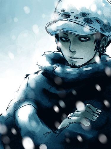 六月·雪采集到海贼王