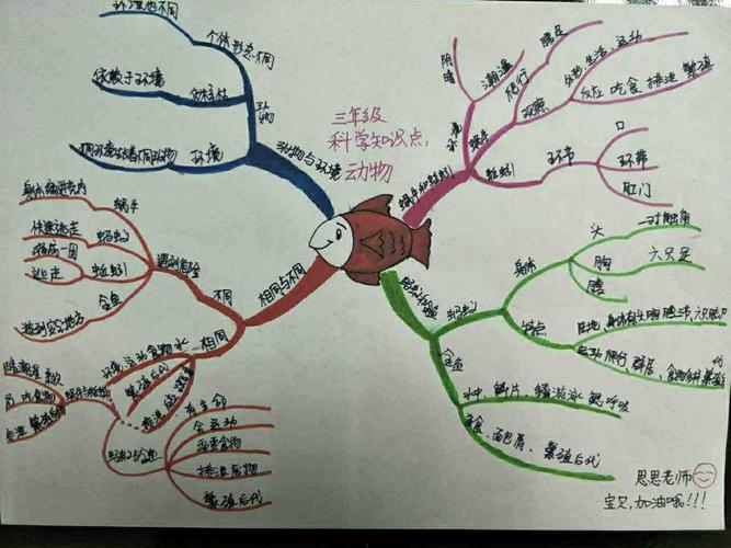 美文 思维导图 写美篇 小鲤鱼跟妈妈学会了许多本领,就要独自生活了.