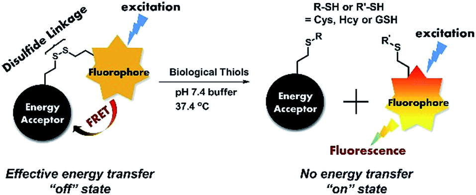 this method relies on the specific disulfidect
