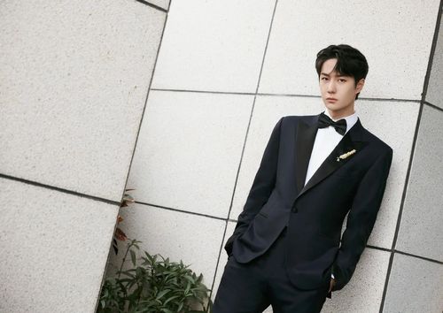 王一博壁纸笔挺西装沉淀经典雅致蝴蝶领结点亮绅士品格