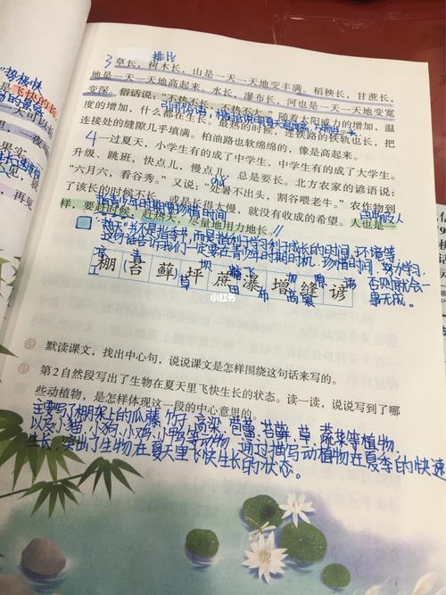 六年级上册语文15课预习笔记(原耽女孩报道)