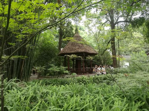 成都杜甫草堂好玩吗,成都杜甫草堂景点怎么样_点评