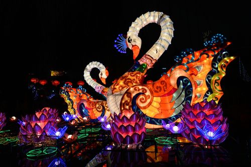 五光十色放异彩趵突花灯更好看