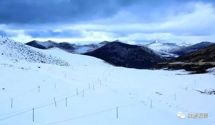 雪山千年恋