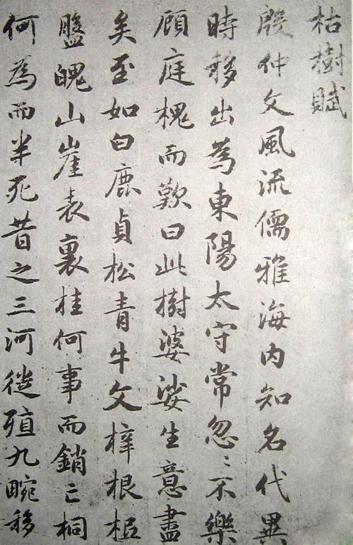 赵孟頫临唐代褚遂良枯树赋