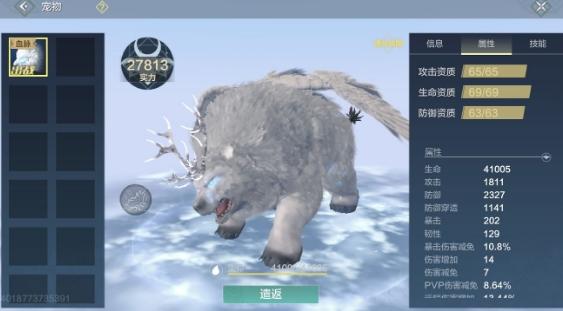 妄想山海普通宠物哪个好普通宠物获取及最强推荐