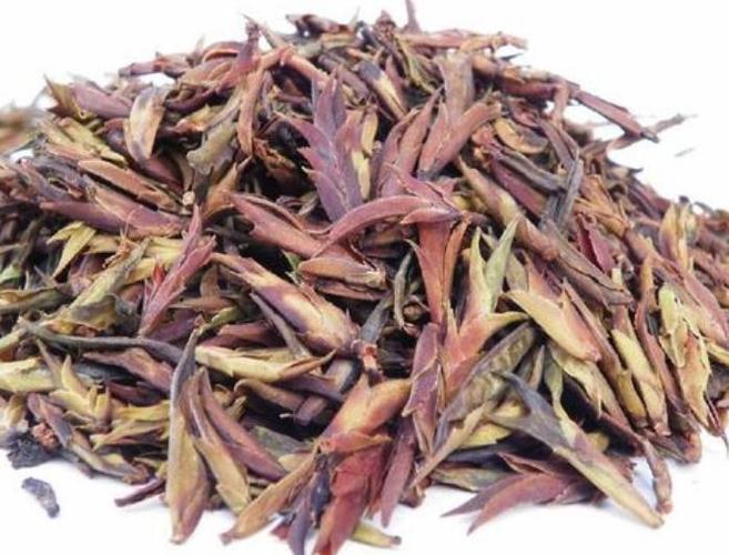 诞生完全是一场美妙的意外邂逅,当年大批茶叶营养学专家研究普洱茶树