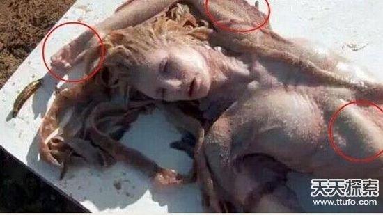 泰国村民祭拜不明生物尸体 疑似外星人