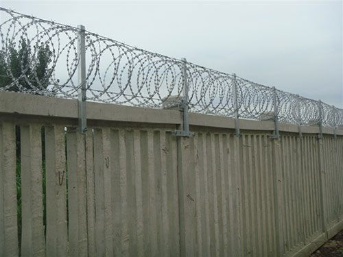 刺丝滚笼优选厂商滚刀刺网防攀爬安平菲璇