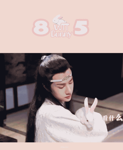 陈情令抱兔子王一博 - 堆糖,美图壁纸兴趣社区