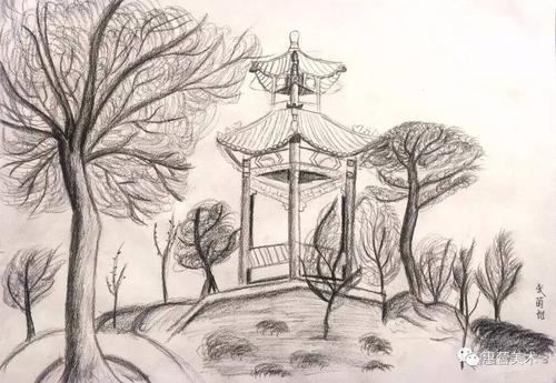 细腻笔触下的自然之趣| 惠营美术学校百大校区植物园写生学生作品欣赏