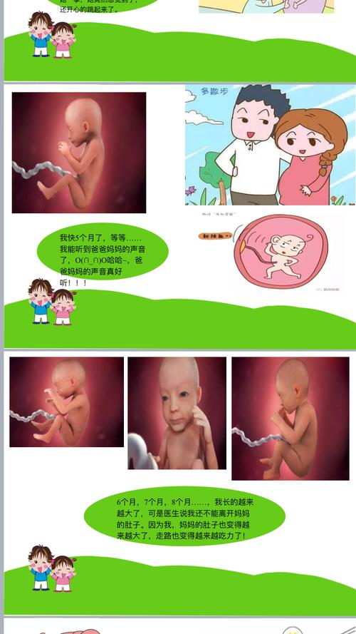 《我从哪里来?》