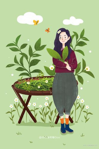 一组插画师桔子piang小清新插画作品