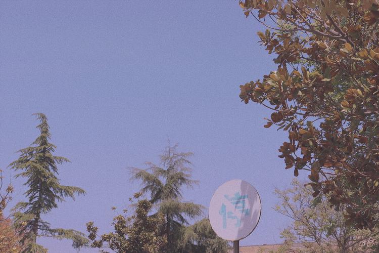 电脑壁纸 桌面壁纸 聊天背景 锁屏壁纸 ins 油画 iphone 【禁商用】