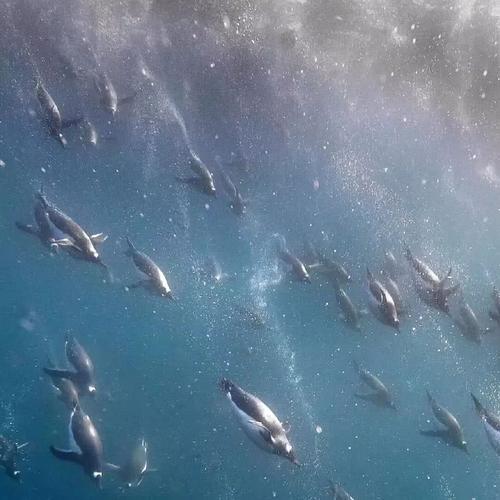 深海背景图