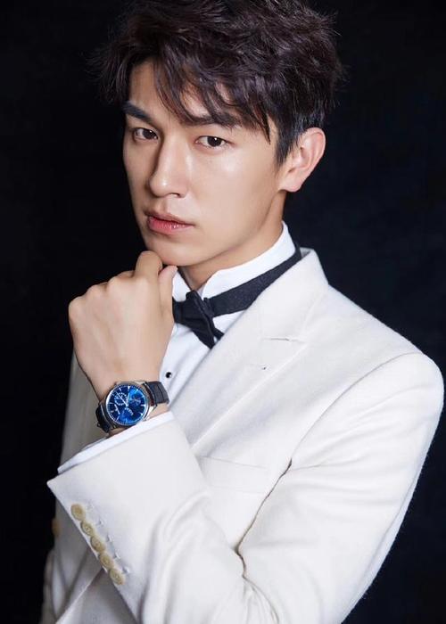 你去过江苏省南京市吗?那里是这些大陆男演员的家乡