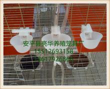 亮华养殖笼具厂批发鸽笼配件,鸽用水杯,鸽用自动饮水器,饮水杯