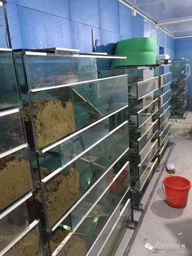 新的场地,新的模式——排缸系统