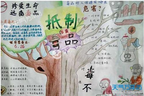 禁毒手抄报内容资料 禁毒手抄报内容写什么