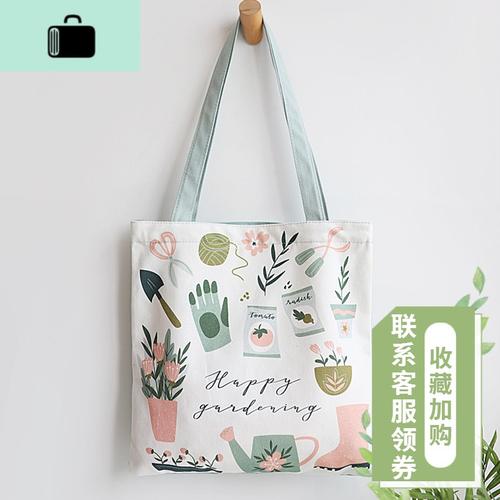 ins小清新帆布包女日系文艺环保袋学生手提夏款仙女漂亮的单肩包new