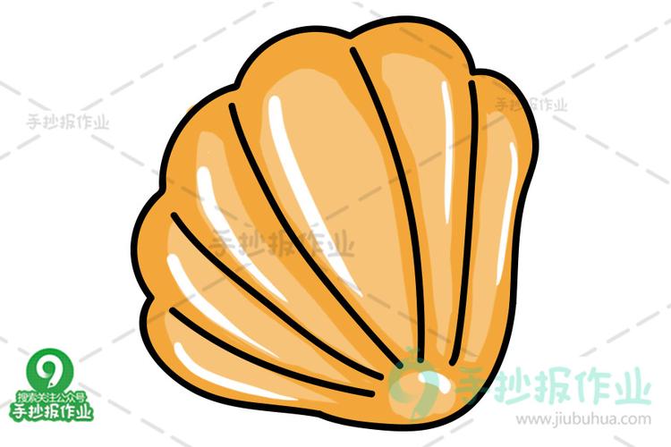 黄色贝壳简笔画
