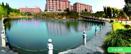 共青科技职业学院校园环境怎么样,有图片更佳