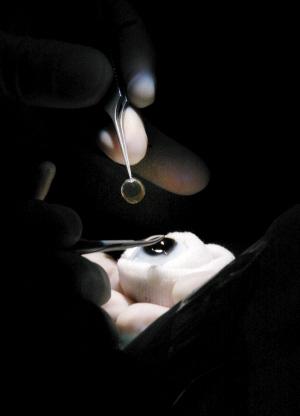 夏圣涛他是我省有史以来最小的眼角膜捐献者