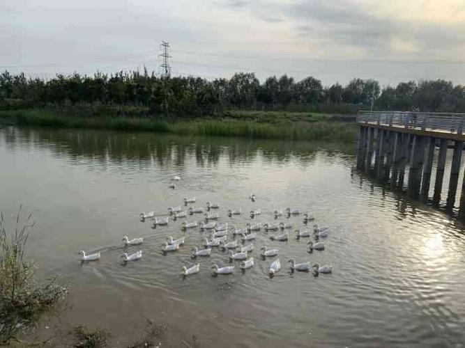 长子营湿地公园-"为啥这个公园大众点评上没有……不.