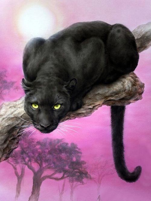 钻石画diy黑豹子 2.8魔方圆满钻十字绣 客厅装饰 尖顶新款定做